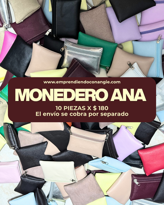 Paquete de Monedero Ana
