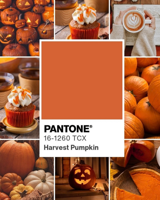 PAQUETE CALABAZA